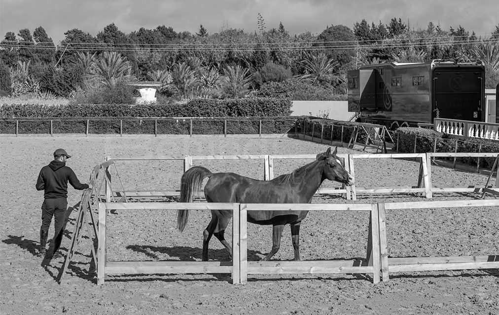 Royal Club Detroit Airbnb BehindCam Company 06